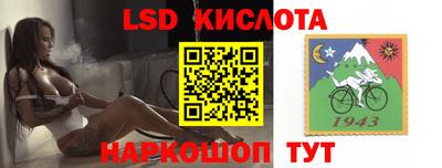 гашик Малгобек