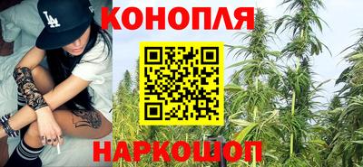 гашик Малгобек