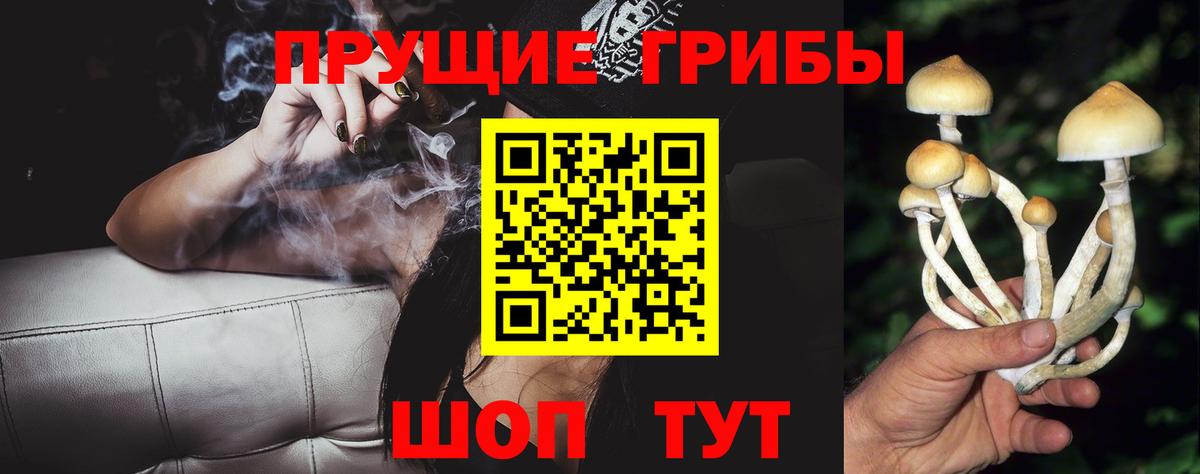 Псилоцибиновые грибы MAGIC MUSHROOMS Ставрополь